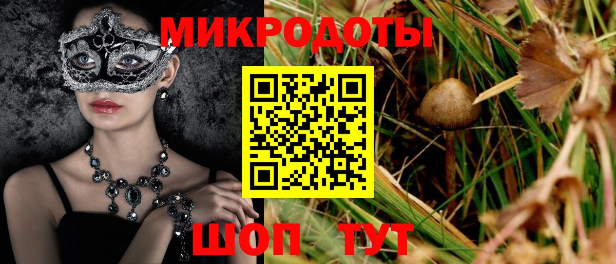 Галлюциногенные грибы MAGIC MUSHROOMS Кохма