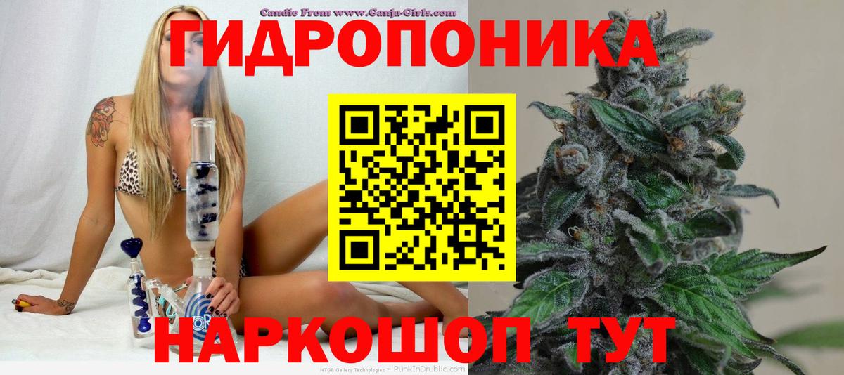 Бошки Шишки семена  Вход с VPN  Кохма  Канабис индика  МАРИХУАНА конопля 